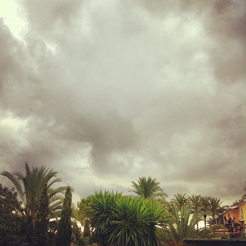 it's Monday and there's a light chance of weather disturbance