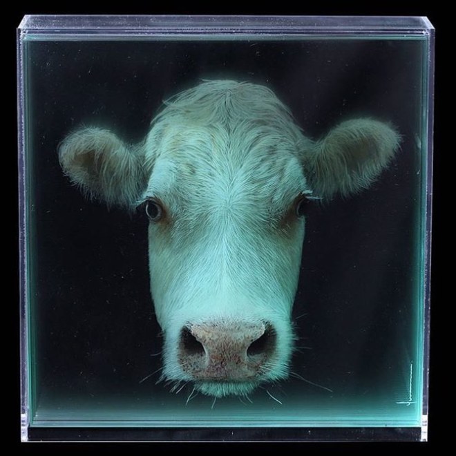 18879119_318601185243625_6236874524810280960_n